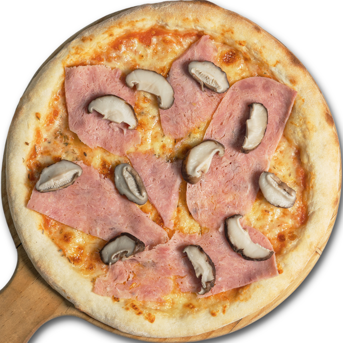 Funghi